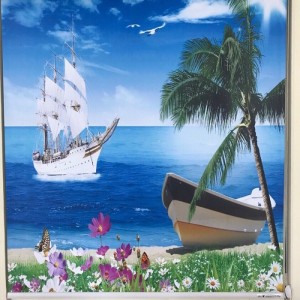 Rèm cuốn tranh 3D - CT04