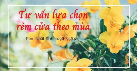 Tư vấn lựa chọn rèm theo mùa